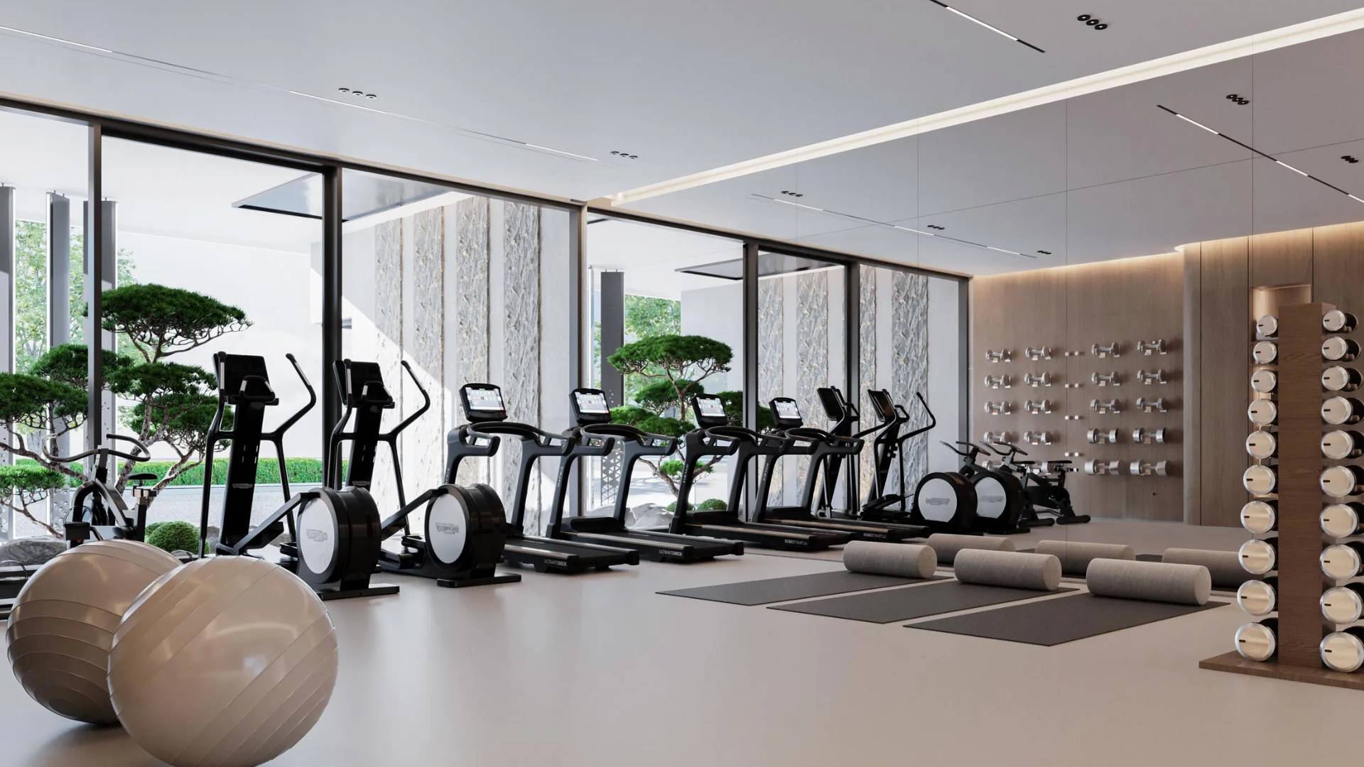 Contemporary fitness center featuring mirrored walls, organized weights, and large windows with greenery views.